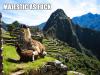 llama love at Machu Picchu - majestic as Fu**